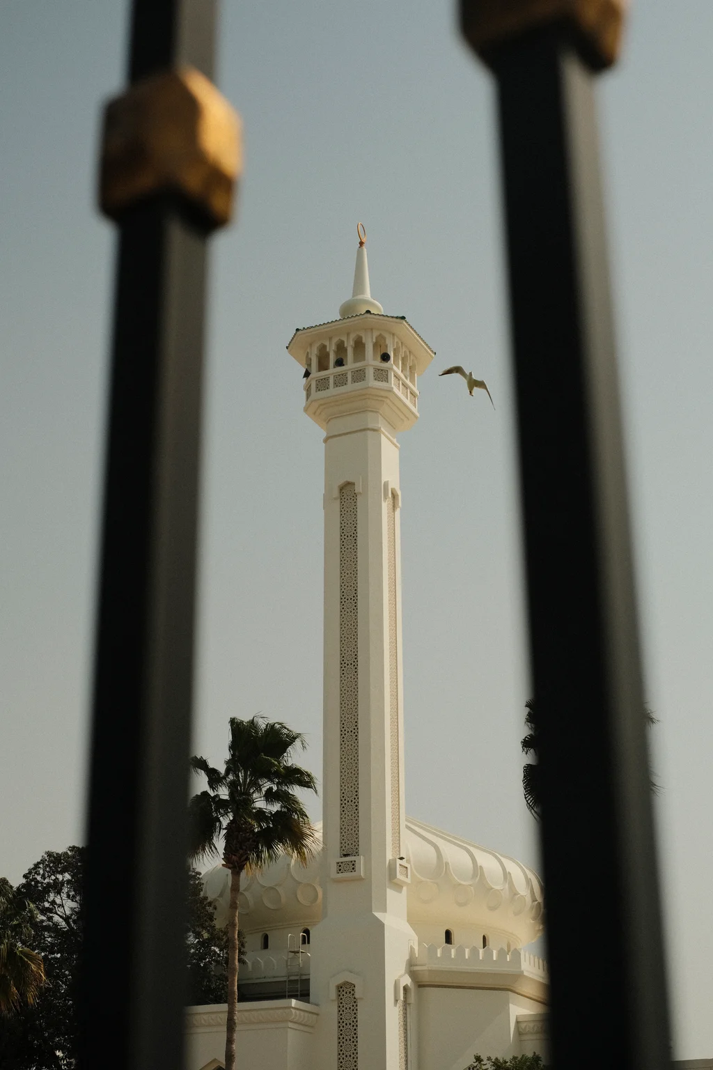 Minaret and Wings