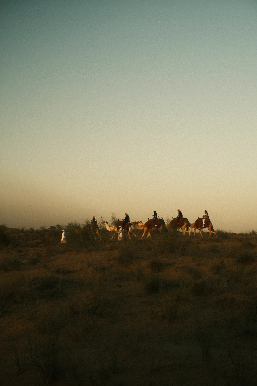 Desert Procession