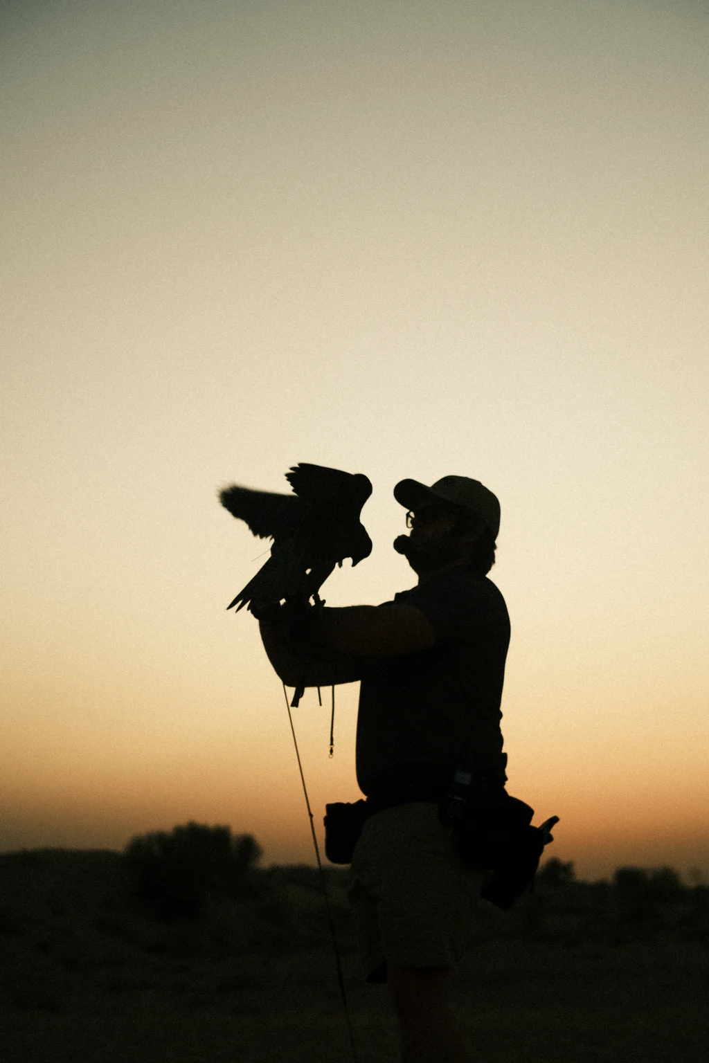 The Falconer