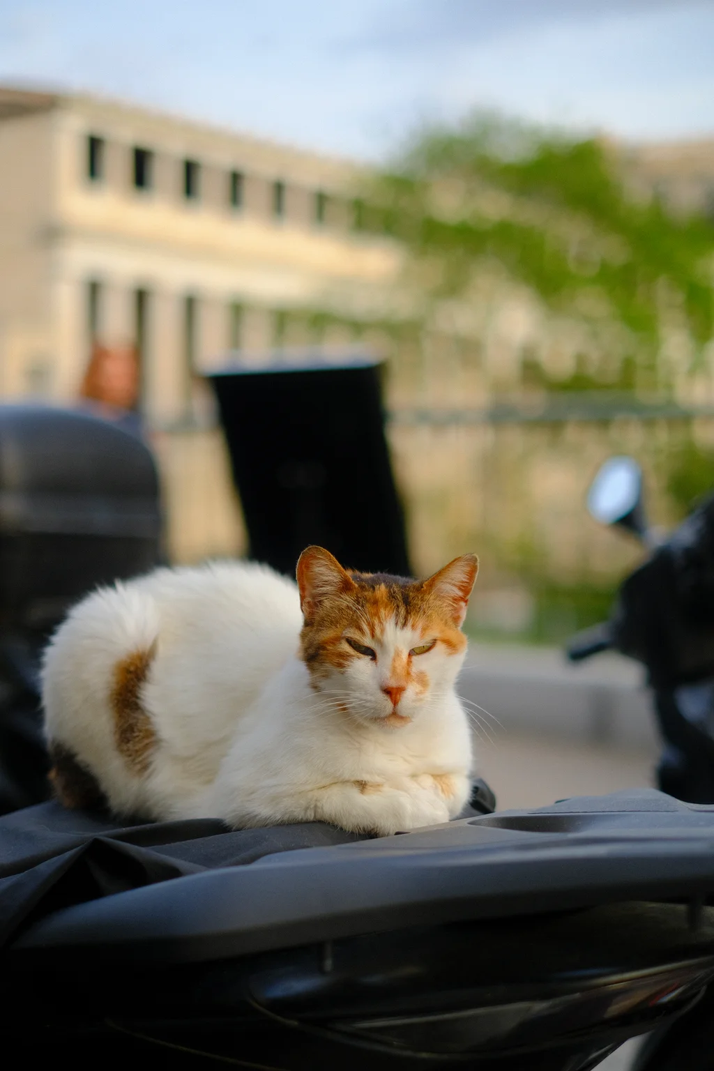 Athens Local